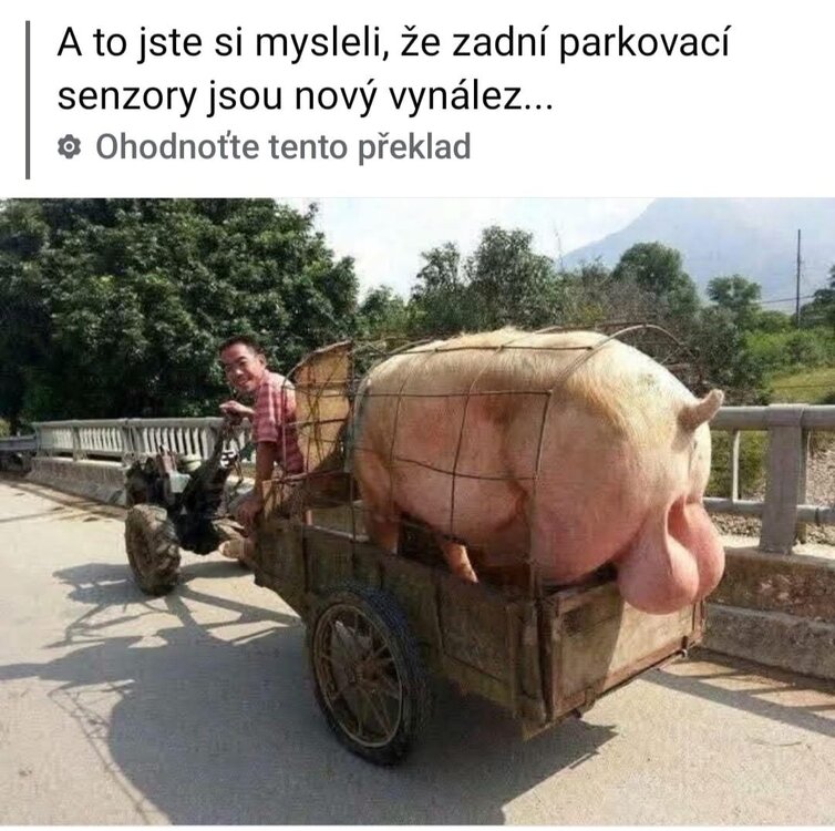 Obrázek WhatsApp, 2024-12-06 v 18.36.48_1656cce4.jpg