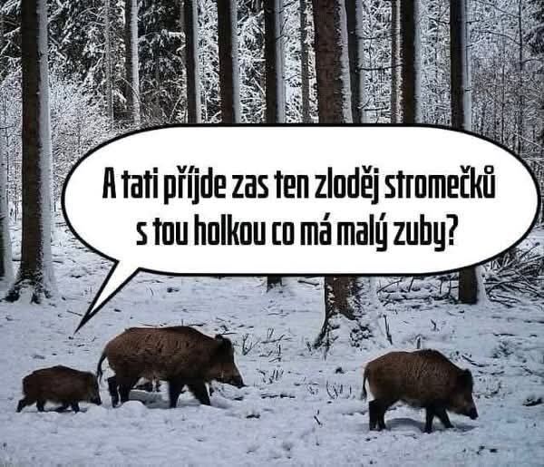 Obrázek WhatsApp, 2024-12-15 v 14.00.31_46b7f940.jpg