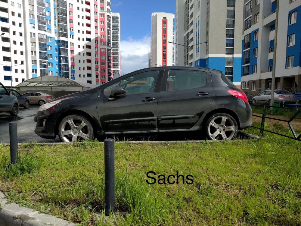 IMG_2975.jpeg