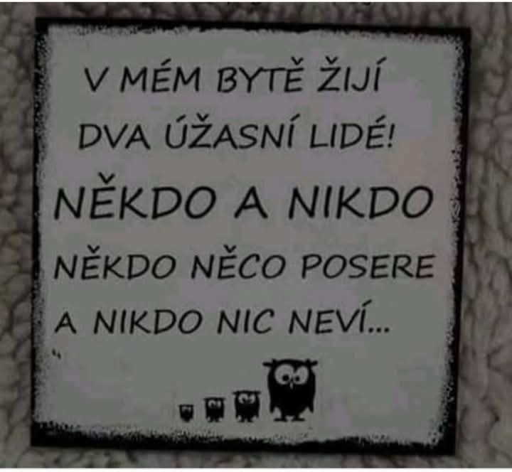 Obrázek WhatsApp, 2025-01-06 v 13.00.35_780d0e7b.jpg