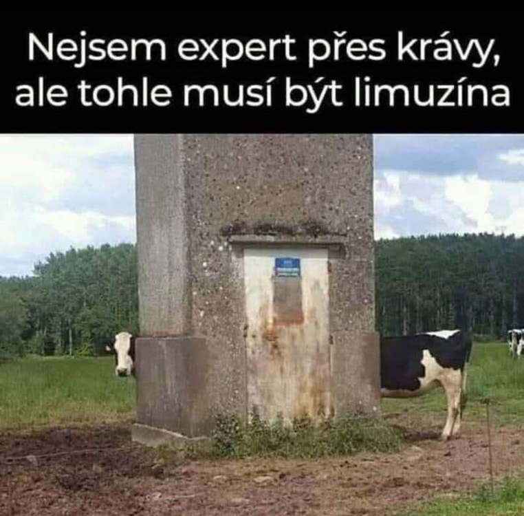 Obrázek WhatsApp, 2025-01-23 v 13.26.23_3c1dbe27.jpg