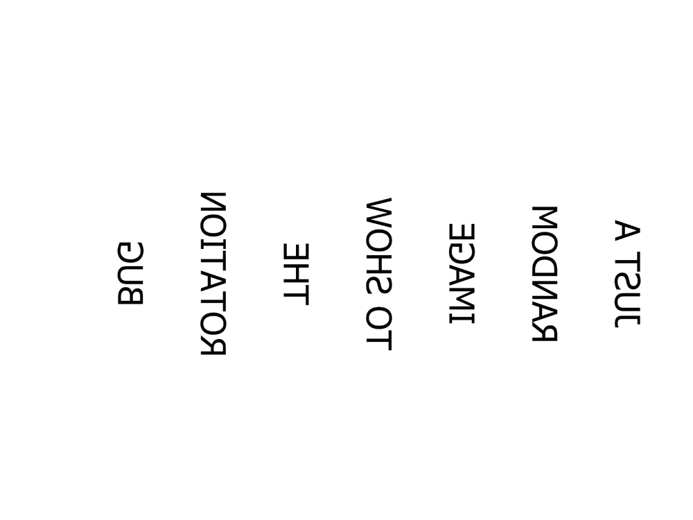 test_image_rotation_bug.jpg