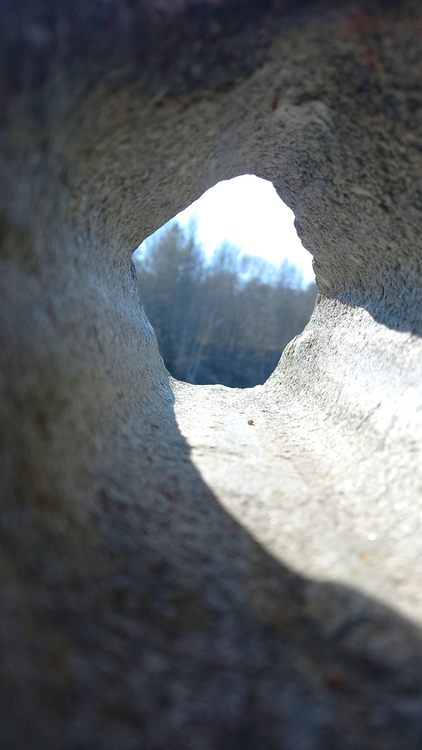 20250222_115432.jpg