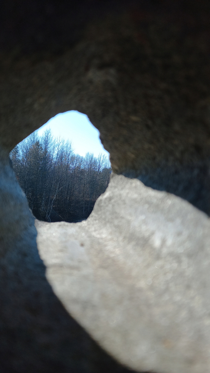 20250222_115453.jpg