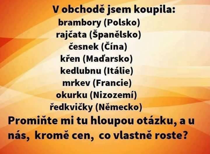 Obrázek WhatsApp, 2025-02-13 v 11.35.27_294893dd.jpg