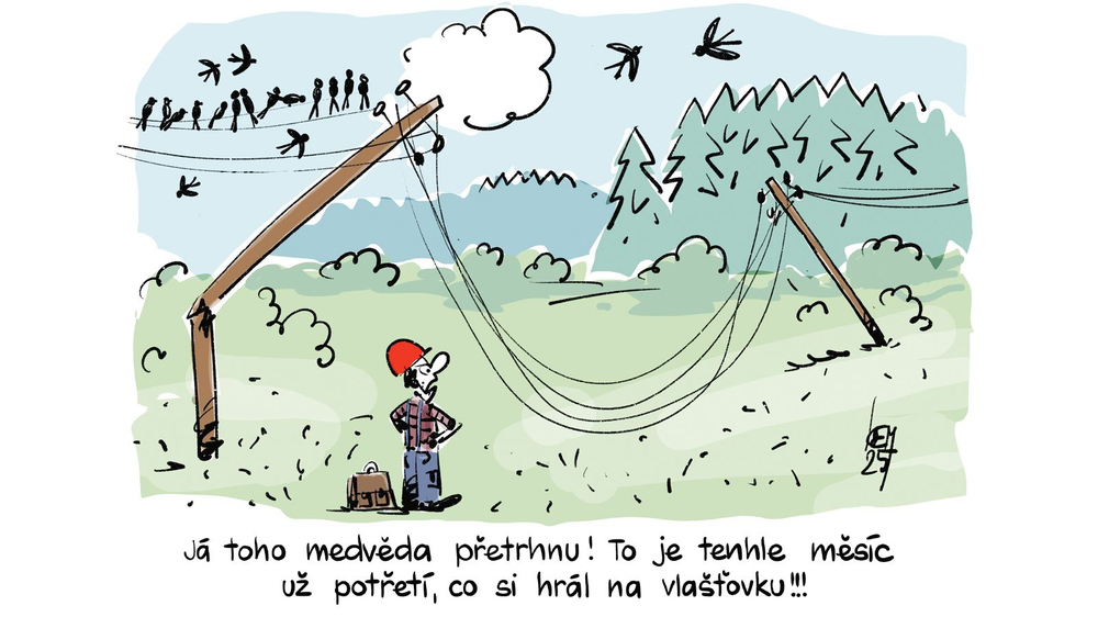 kemel-vtip.jpeg