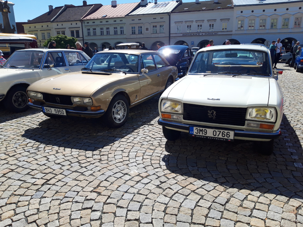 20250426_135031.jpg