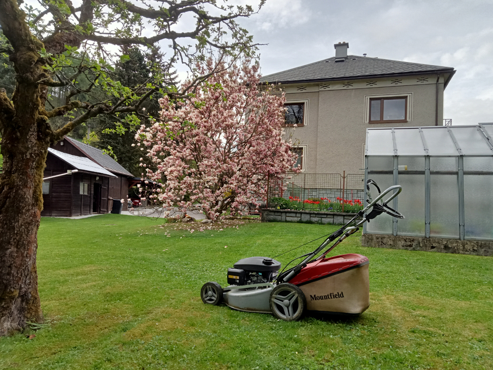 IMG20250423172010.jpg