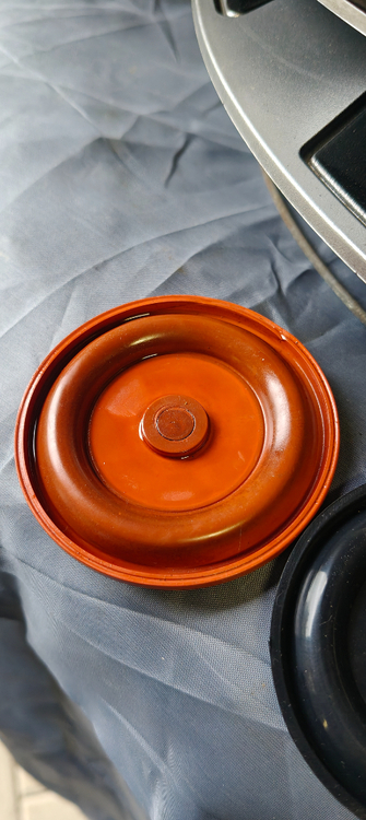 IMG20250425095459.jpg