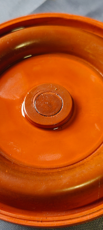 IMG20250425095509.jpg