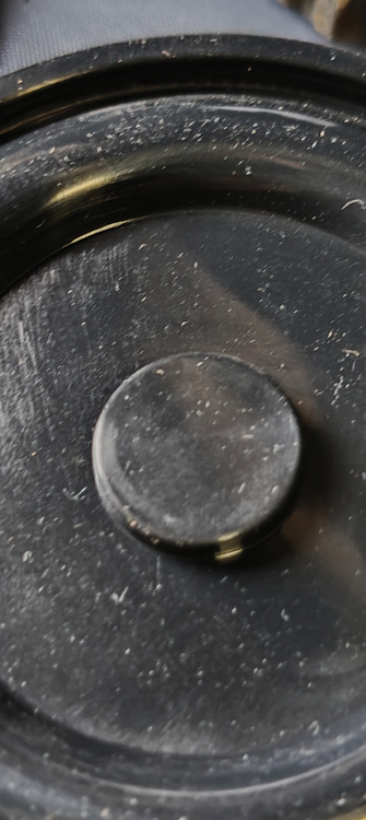 IMG20250425095516.jpg