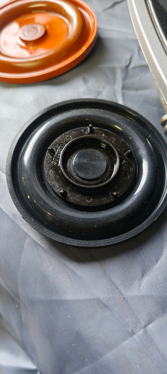 IMG20250425100039.jpg