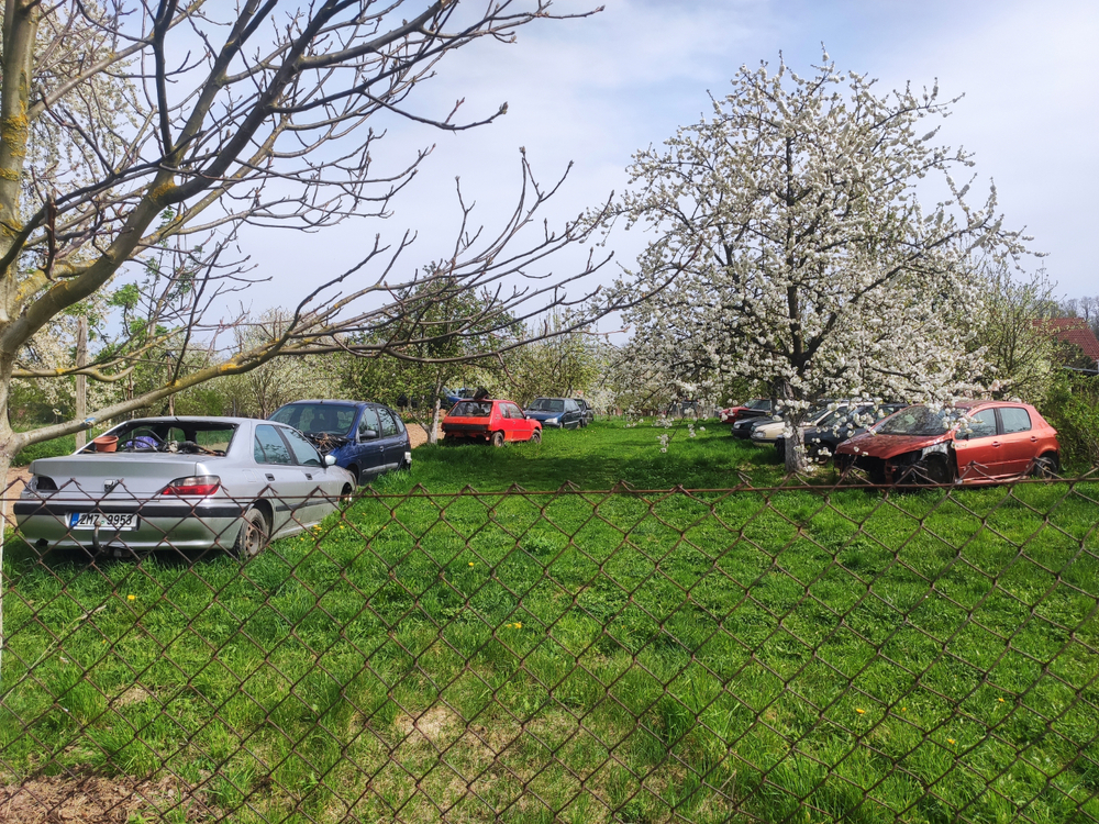 IMG_20250417_145218.jpg