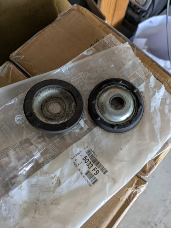 PXL_20250428_124410862.jpg