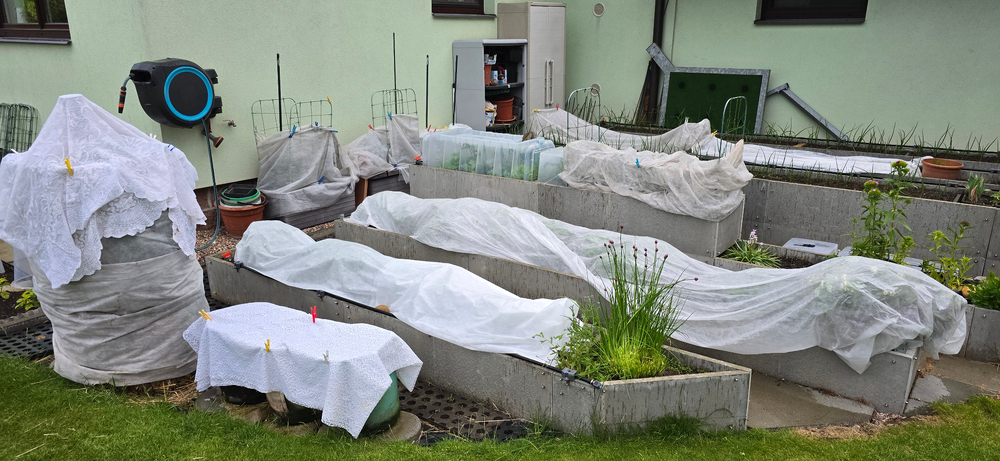 2025-05-25 20.17.09.jpg