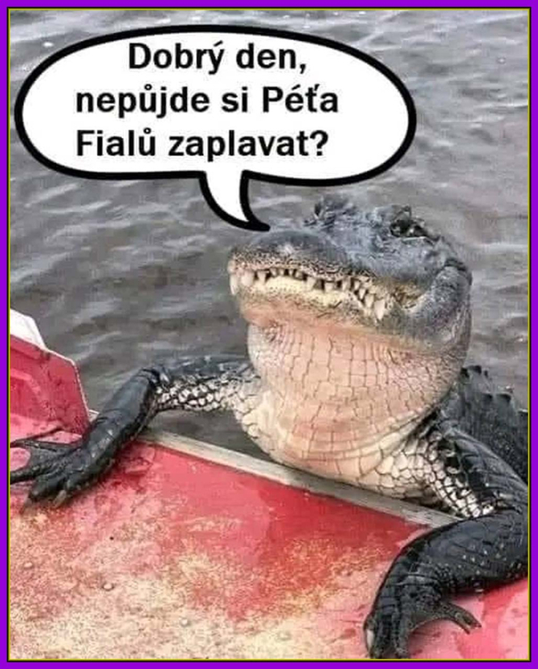 Dobrý den.jpg