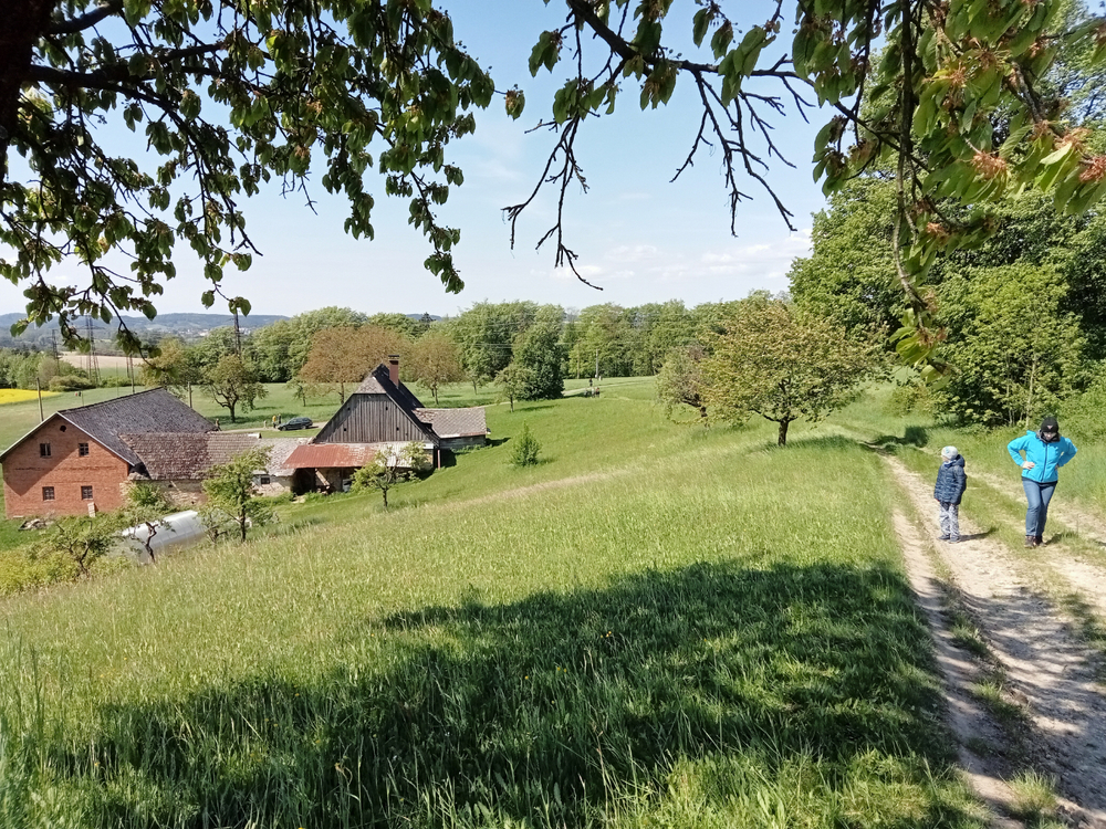 IMG20250508103648.jpg