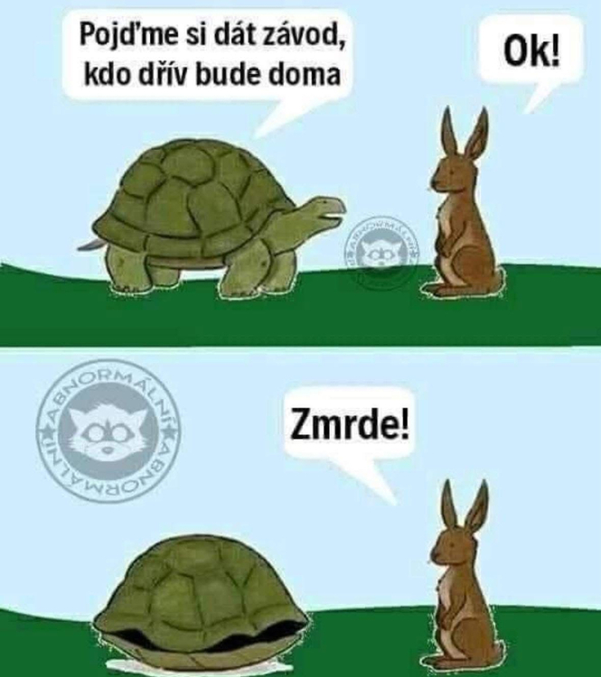 Obrázek WhatsApp, 2025-05-12 v 10.14.21_51c8b311.jpg
