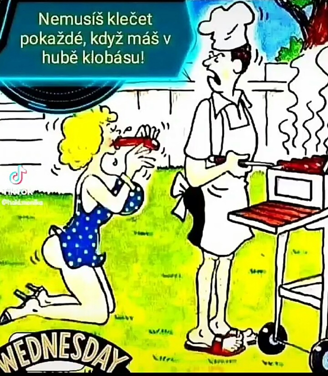 Obrázek WhatsApp, 2025-06-02 v 14.31.19_722346f0.jpg