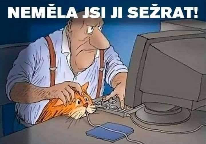 Obrázek WhatsApp, 2025-06-03 v 08.05.29_57527ecd.jpg
