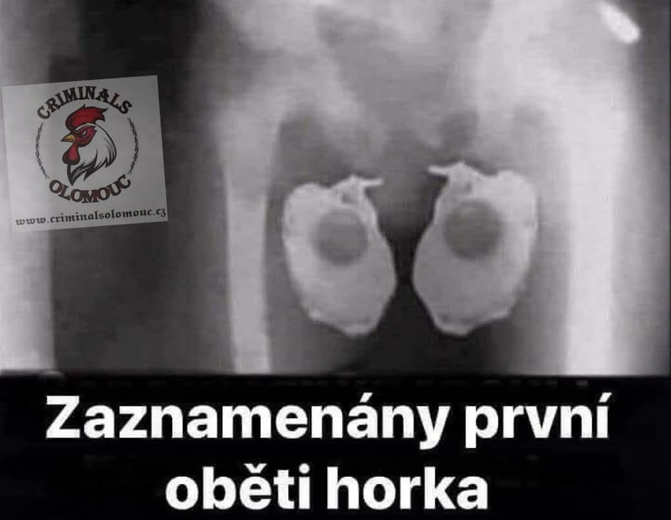 Obrázek WhatsApp, 2025-07-01 v 20.43.03_aee0f0bc.jpg