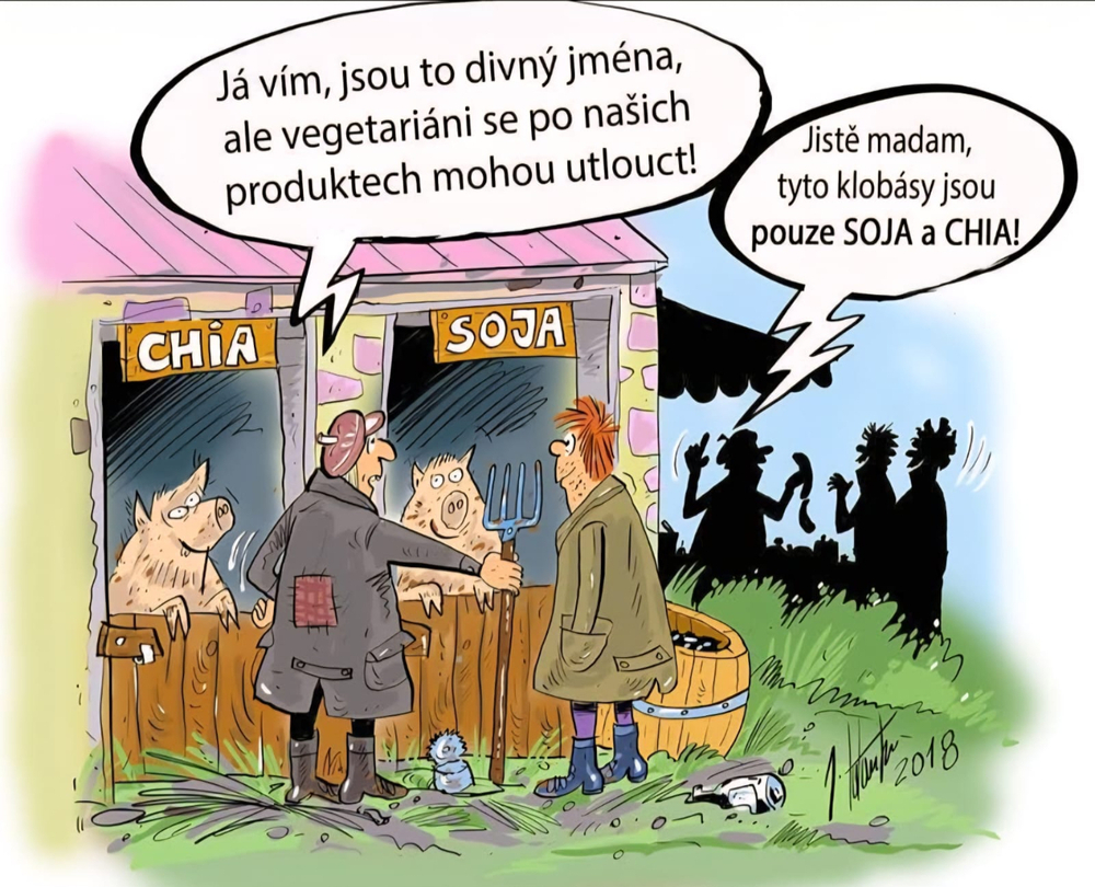 Obrázek WhatsApp, 2025-07-02 v 20.40.37_6b57546a.jpg