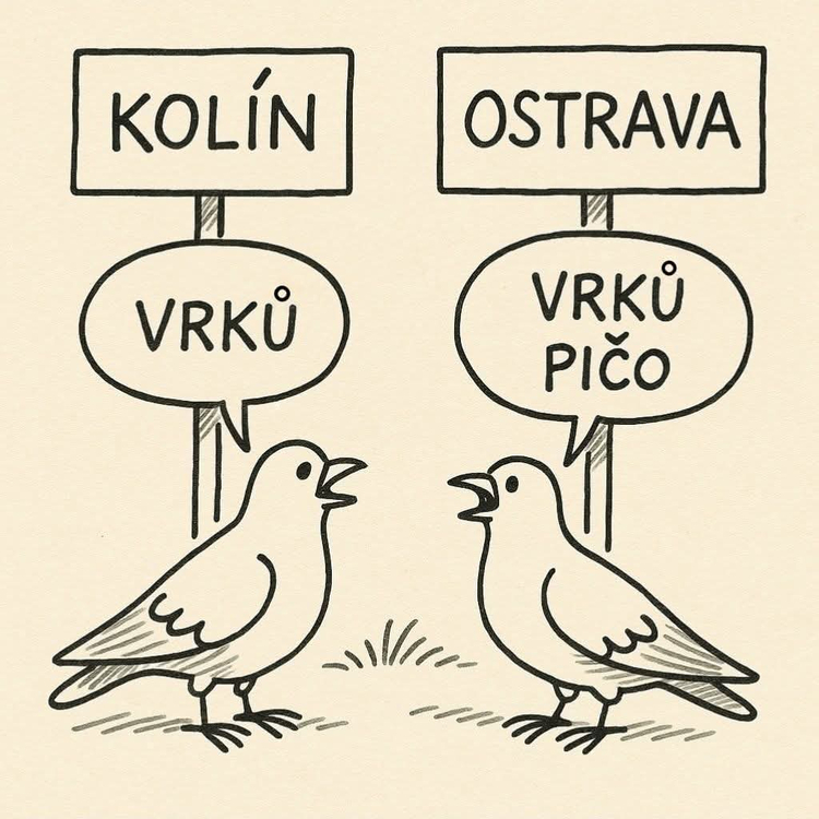 Obrázek WhatsApp, 2025-07-30 v 13.26.14_f0e82fae.jpg