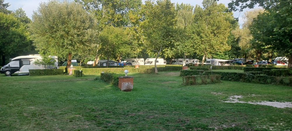 20250803_182116.jpg