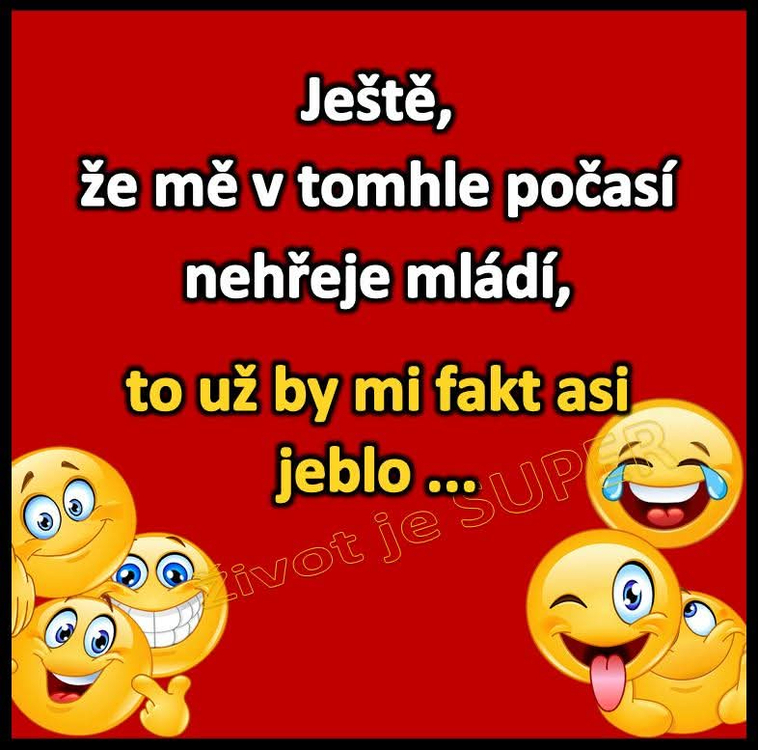 vedro.jpg