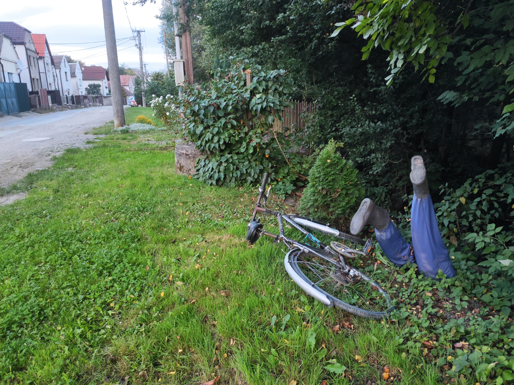 IMG_20250905_191859.jpg