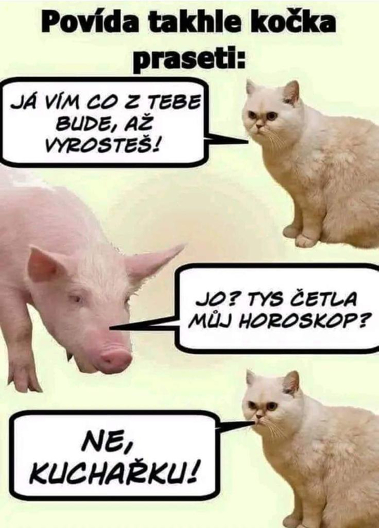 Obrázek WhatsApp, 2025-09-15 v 13.39.37_1f6fa3e4.jpg