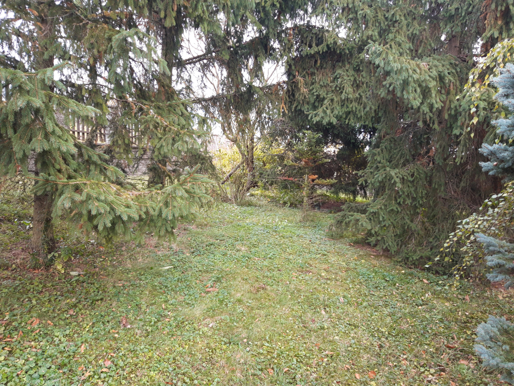 20251025_145042.jpg