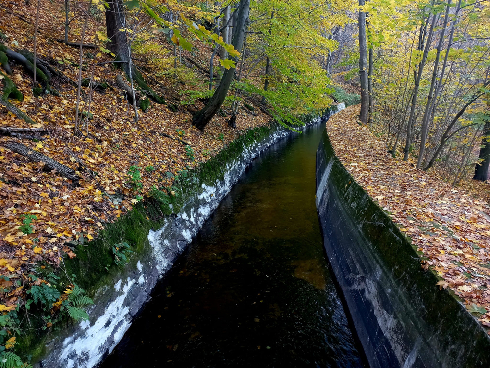 IMG-20251027-WA0019.thumb.jpg.afc8d771f0fadc5f78b1c1b9b04489f6.jpg