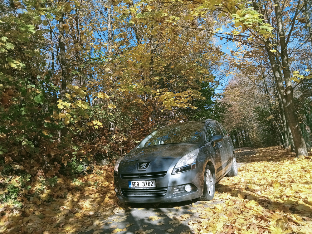 IMG20251019095902.jpg