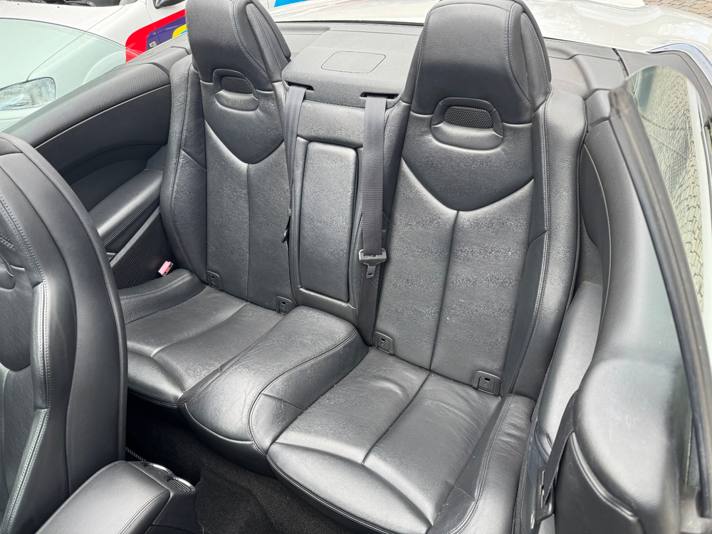 IMG_8250.jpeg