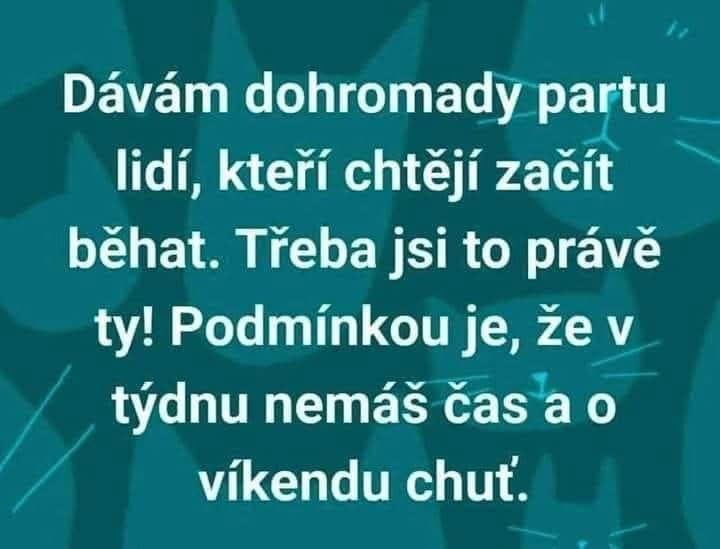 Obrázek WhatsApp, 2025-10-12 v 13.13.12_7ba89bb8.jpg