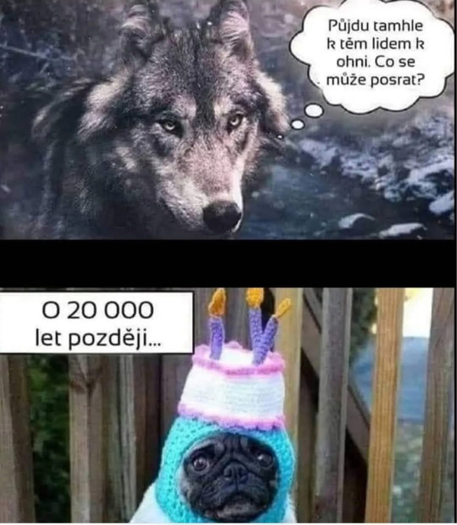 Obrázek WhatsApp, 2025-10-13 v 18.08.49_4a229f4b.jpg