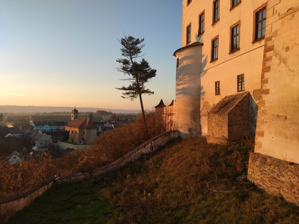 IMG_20251107_160030.jpg