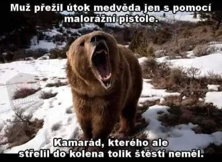 Obrázek WhatsApp, 2025-11-04 v 19.36.29_7e9debdf.jpg