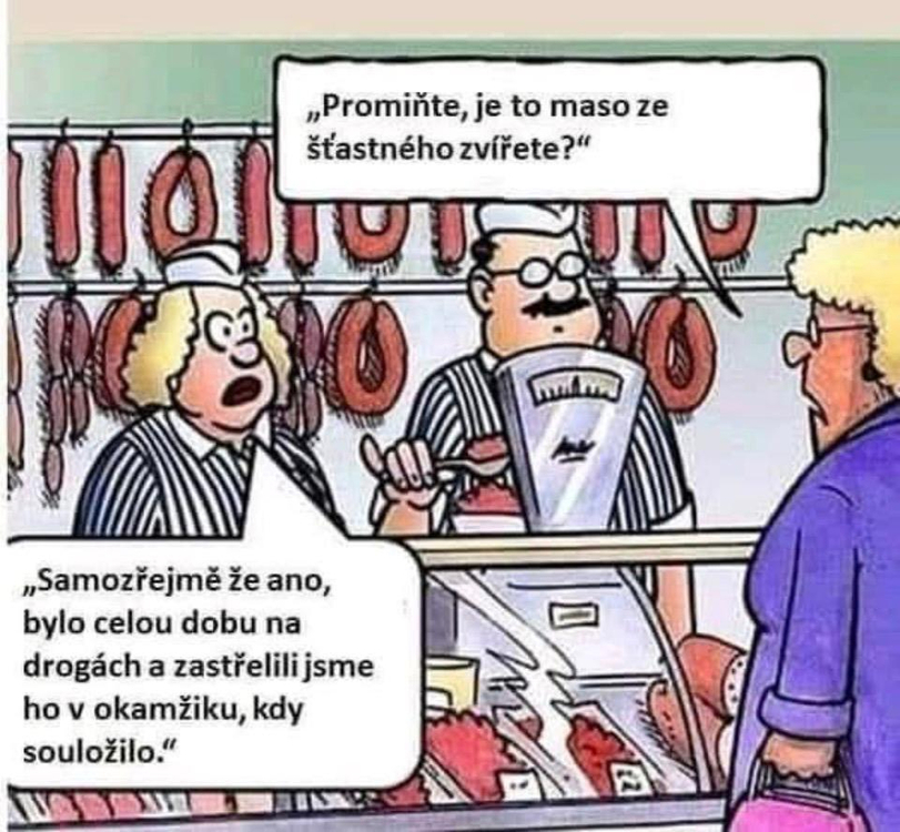 Obrázek WhatsApp, 2025-11-12 v 09.17.28_1911d6cb.jpg