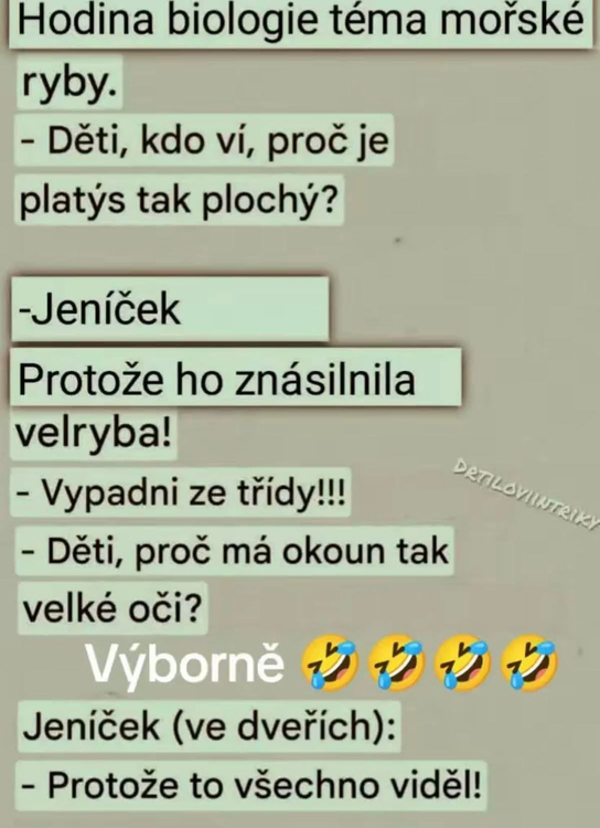 Obrázek WhatsApp, 2025-11-14 v 11.14.39_ad5dff4a.jpg