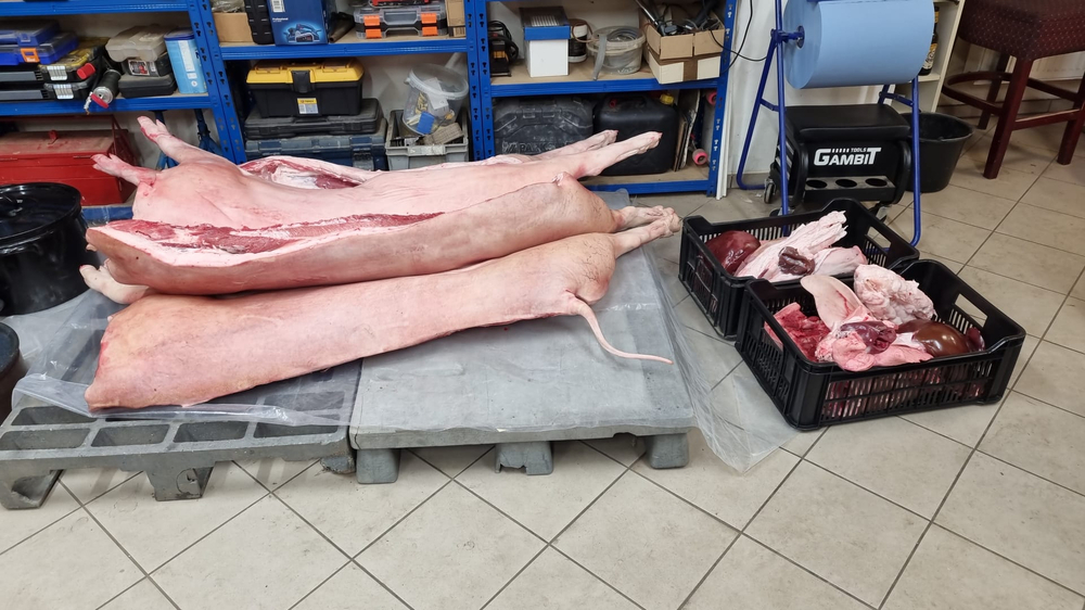 ObrzekWhatsApp2025-11-22v08_44.57_e02cecf7.thumb.jpg.73c8e633ca8038dddfe63e789d81e0a1.jpg