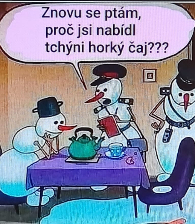 Obrázek WhatsApp, 2025-11-29 v 10.46.09_c74a6efc.jpg