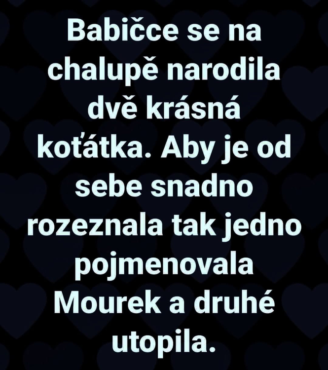 Obrázek WhatsApp, 2025-11-29 v 13.00.54_6d1bf363.jpg