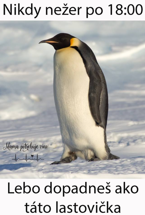 image.thumb.png.f47fb2f03114af77d3662592f765a633.png