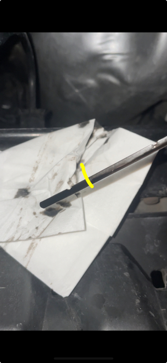 IMG_9056.jpeg