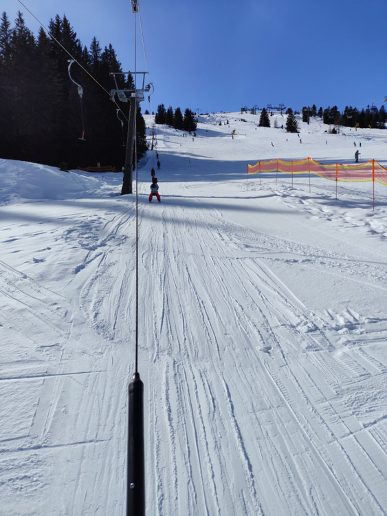 IMG_20260213_113527.jpg
