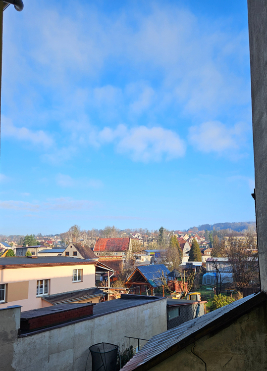 20260317_074015.jpg