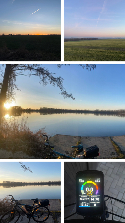 EE313EED-4CB3-45E4-B3EA-0BE8CC4C7B61-COLLAGE.jpeg