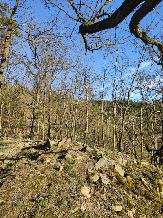 IMG_20260406_175417.jpg